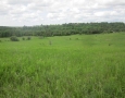 Real Estate Listing   2314 3RD LI Innisfil